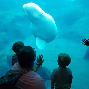 Meet your Posher, Whitney